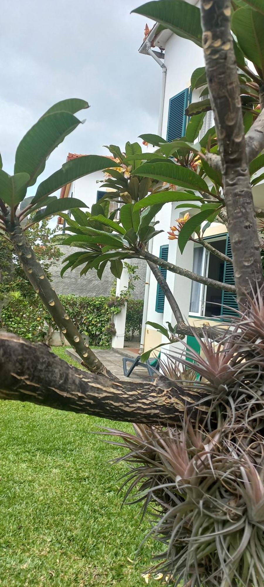Villa Cosy Nook فونشال المظهر الخارجي الصورة